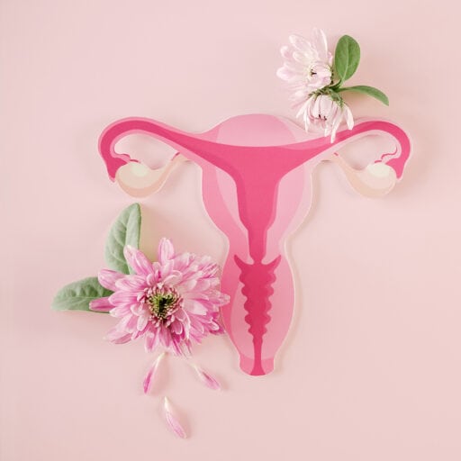 Menopause Therapy in St. Louis